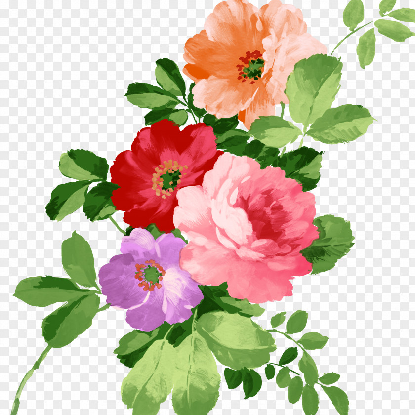 Watercolor Floral Elements Flower Painting PNG
