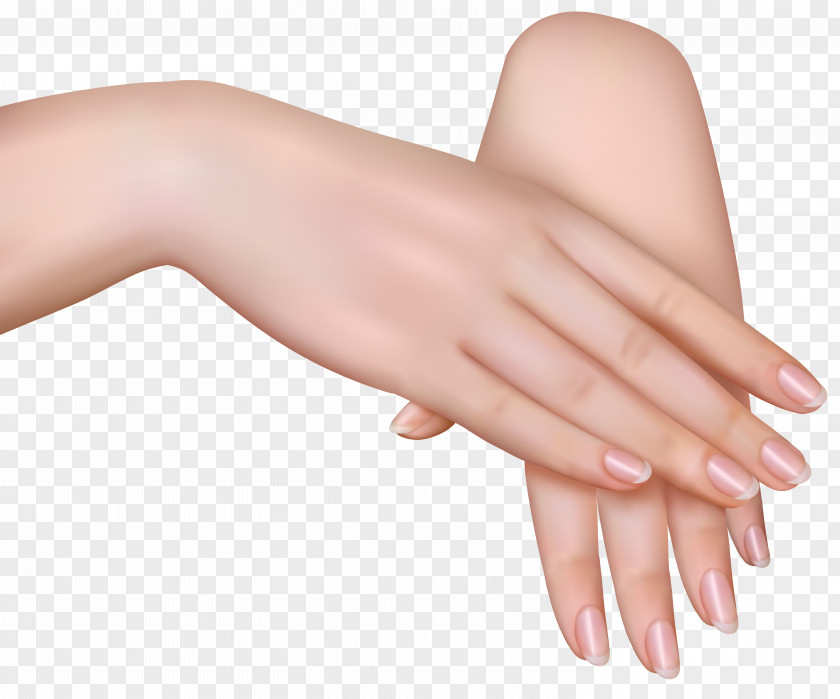 Female Hands Clipart Image Hand Clip Art PNG
