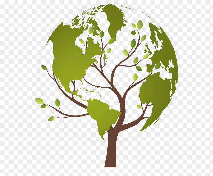Funds Tree Earth PNG