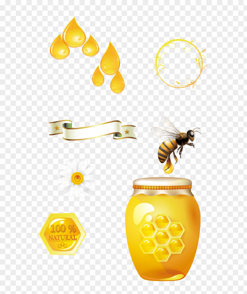 Yellow Honeypot Honey Bee Honeycomb PNG