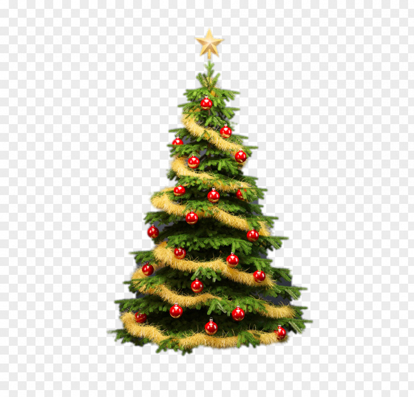 Beautiful Christmas Tree PNG