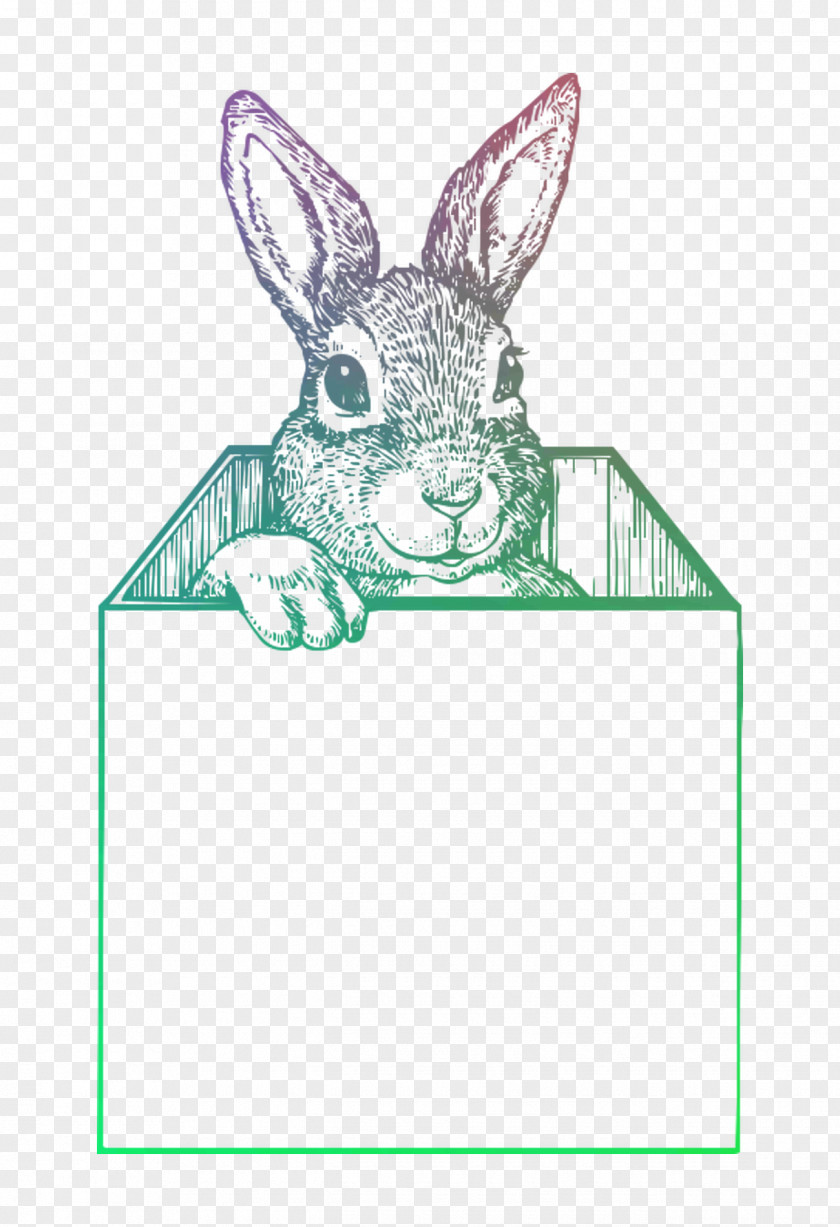 Domestic Rabbit Hare Easter Bunny Illustration PNG