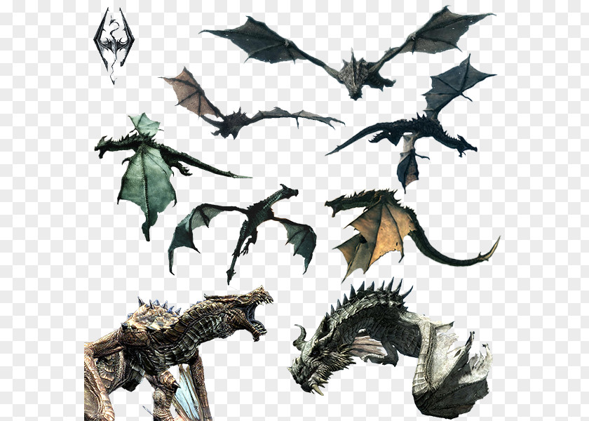 Flying Dragon Free Download The Elder Scrolls V: Skyrim U2013 Dragonborn PNG