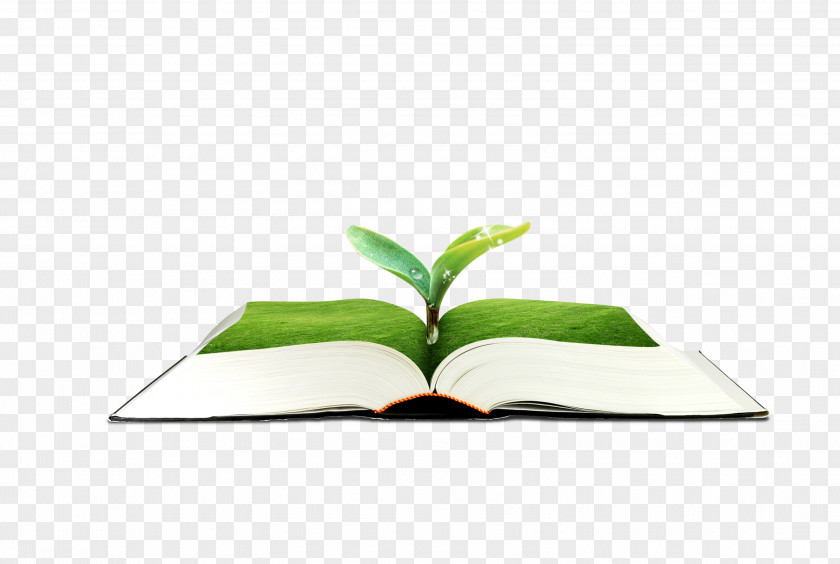 Green Book Leaf PNG