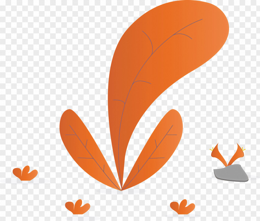 Orange PNG