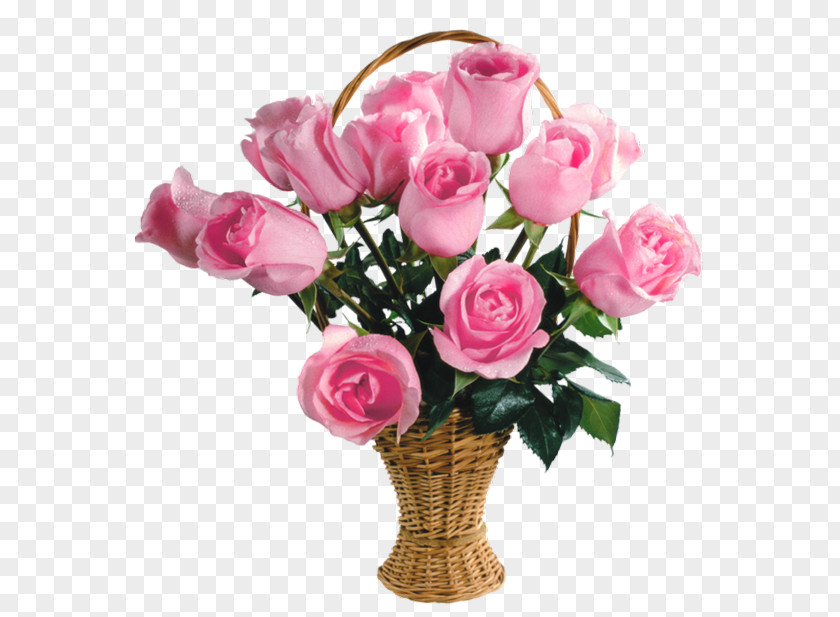 Transparent Pink Roses Basket Picture Rose Flower PNG