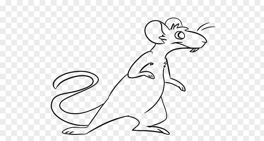 Whiskers Hare Rodent Drawing Clip Art PNG