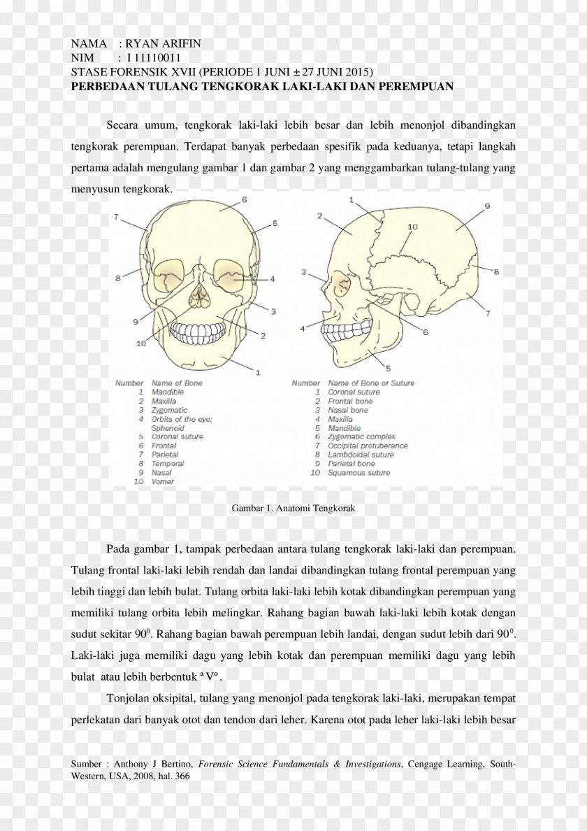Design Homo Sapiens Bone Document Human Behavior PNG