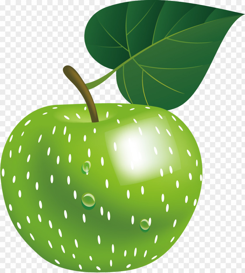 Green Apple Vector Material Infographic Euclidean PNG