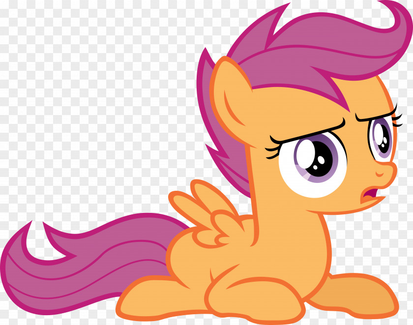 My Little Pony Rainbow Dash Rarity Pinkie Pie Scootaloo PNG