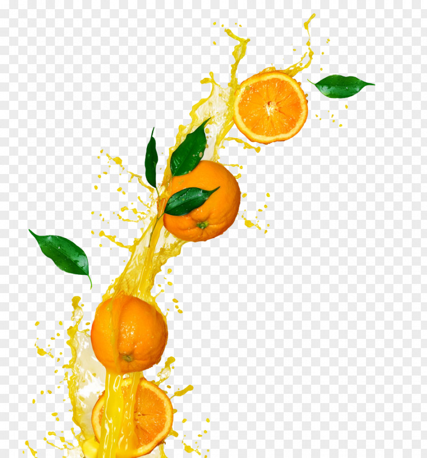 Orange Pictures Juice Juicer Fruit PNG