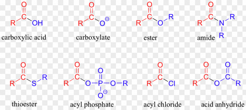 Salt Ether Carboxylic Acid Acyl Group Ester Functional PNG