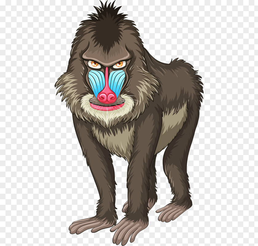 Strange Gorilla Mandrill Euclidean Vector Stock Photography Illustration PNG