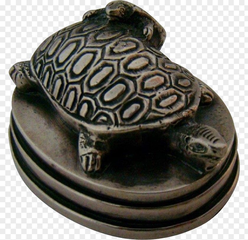 Tortoise Pond Turtles Metal PNG