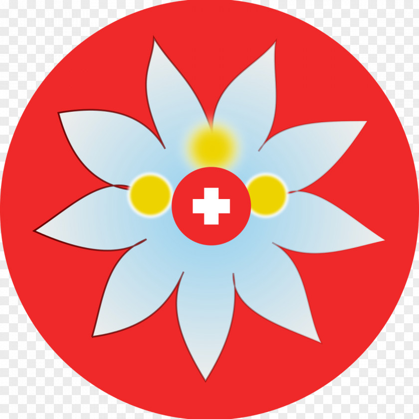 Edelweiss Flower Tattoo Switzerland Clip Art PNG