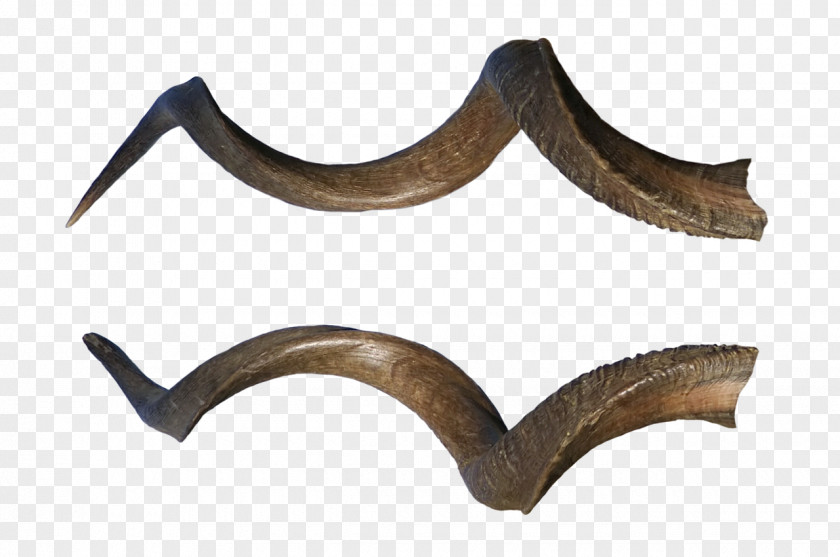 Horn Sign Of The Horns Demon Devil PNG