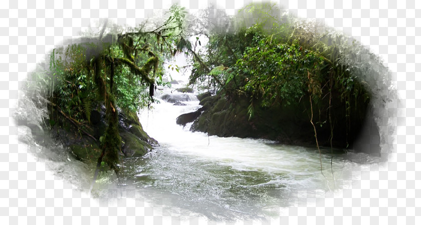 Sea La Paz Waterfall, Costa Rica Song For The Mountain Desktop Wallpaper River PNG