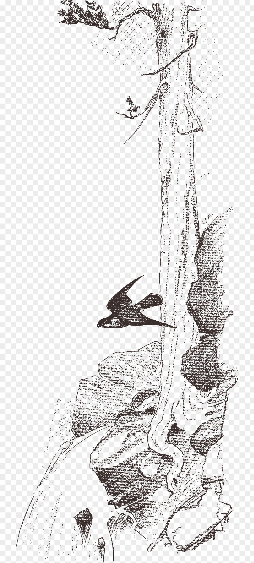 Swallow Stone Sketch Trees Visual Arts Drawing PNG