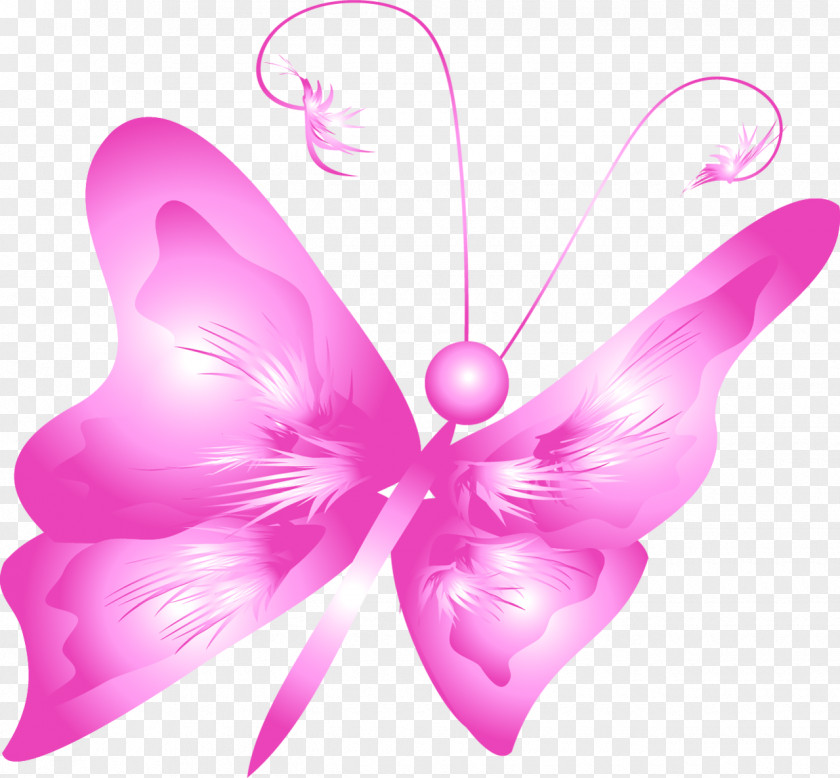 Butterfly Drawing Clip Art PNG