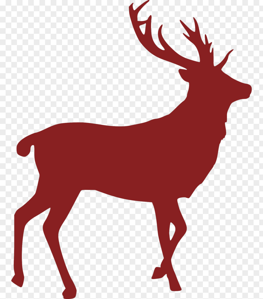 Deer Red Moose Elk Roe PNG