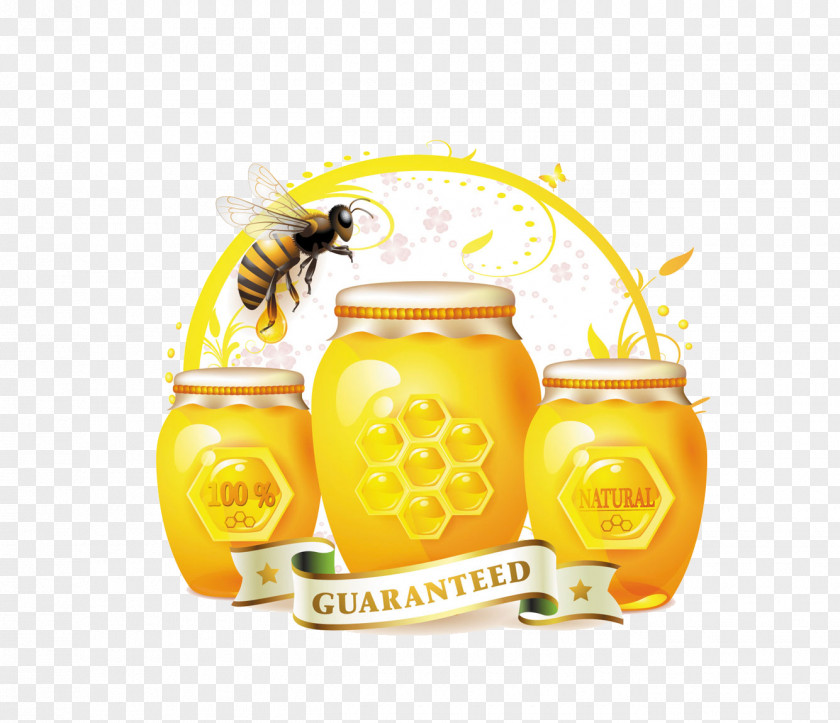 Honey Bee Royalty-free Jar PNG