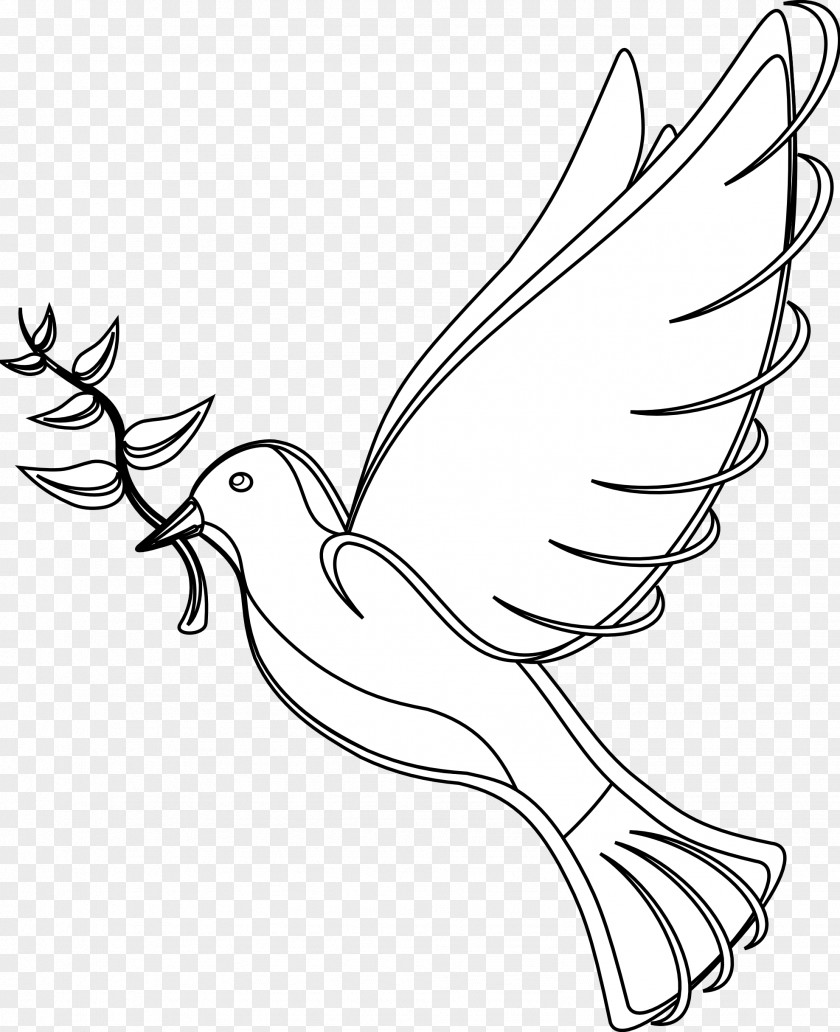 Rock Dove School Day Of Non-violence And Peace Drawing Clip Art PNG