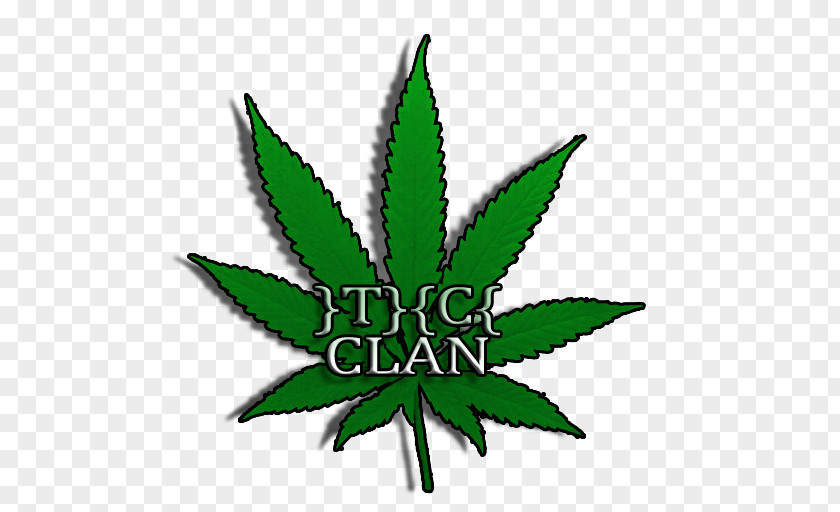Cannabis Medical Leaf Ruderalis Hemp PNG