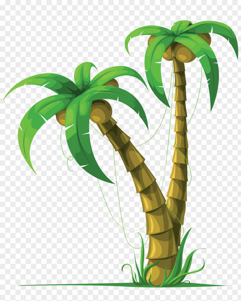 Coconut Tree Arecaceae Clip Art PNG