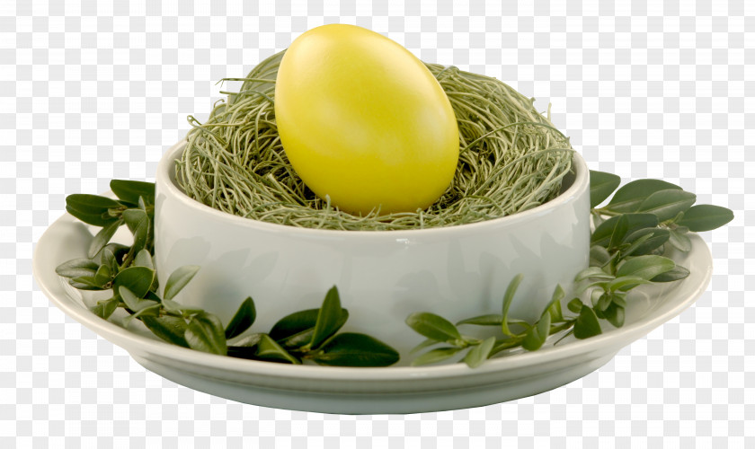 Eggs Easter Bunny Egg Desktop Wallpaper PNG