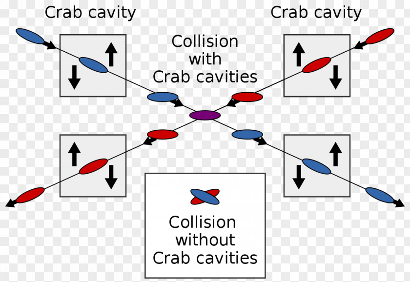 Abdominopelvic Cavity Crab KEKB Particle Accelerator Beam Cavità Risonante PNG