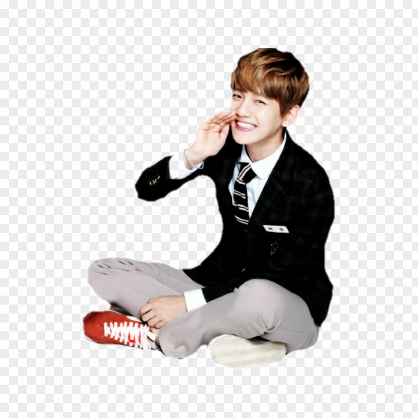 Kpop Baekhyun EXO Wolf PNG