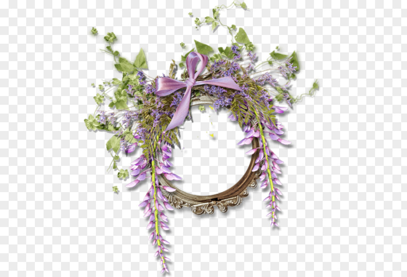 Lavender Border Picture Frames Flower Photography Floral Design PNG