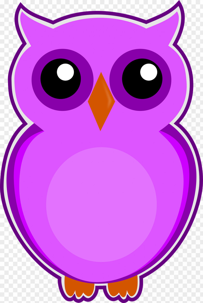 Owl Eksen Dershaneleri Bird PNG