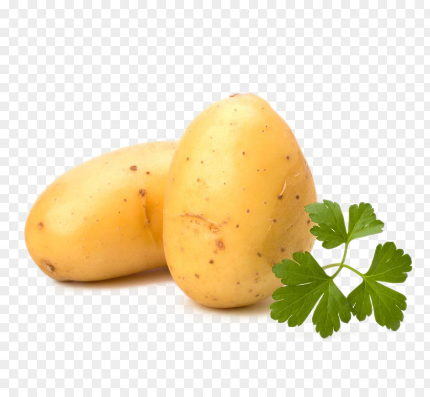 Potato Mashed French Fries Vegetable Food PNG