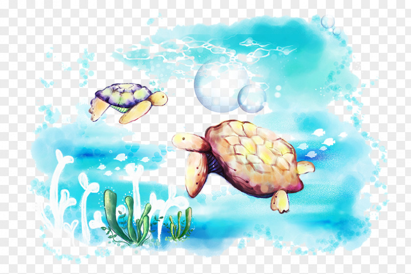 Sea Turtle Drawing PNG