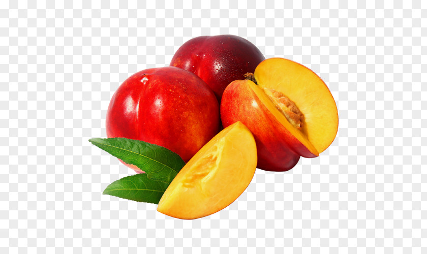 Apricot Nectarine Fruit Tree Vegetable PNG