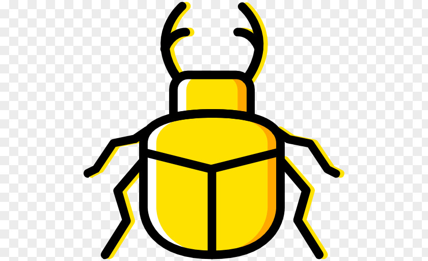 Beetle Illustration PNG