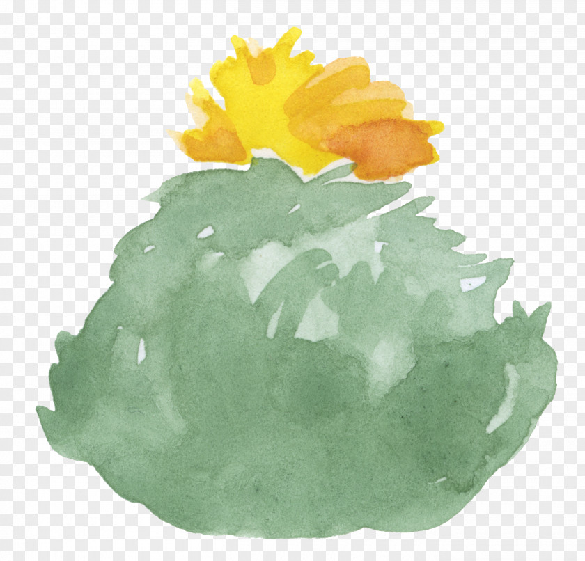 Cactus Cactaceae Watercolor Painting Clip Art PNG