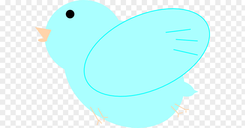 Eastern Bluebird Beak Water Bird Turquoise Clip Art PNG