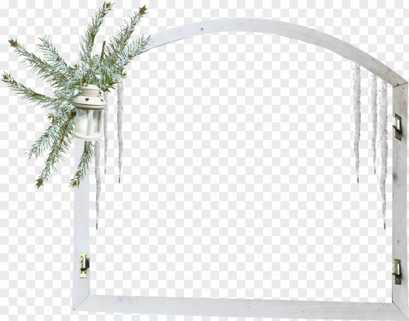Frame tree Window Picture Frames Decorative Arts Image Ornament PNG