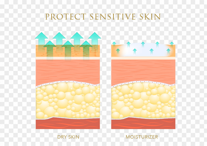 Protect Skin Stock Photography TYO:3625 Clip Art PNG