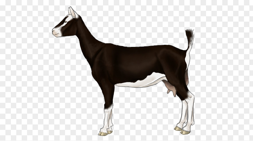 Alpine Goat Dog Breed Horse PNG