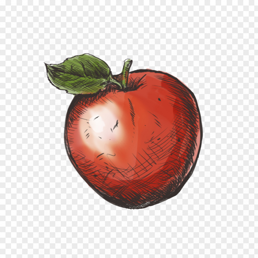 Apple Royal Gala PNG