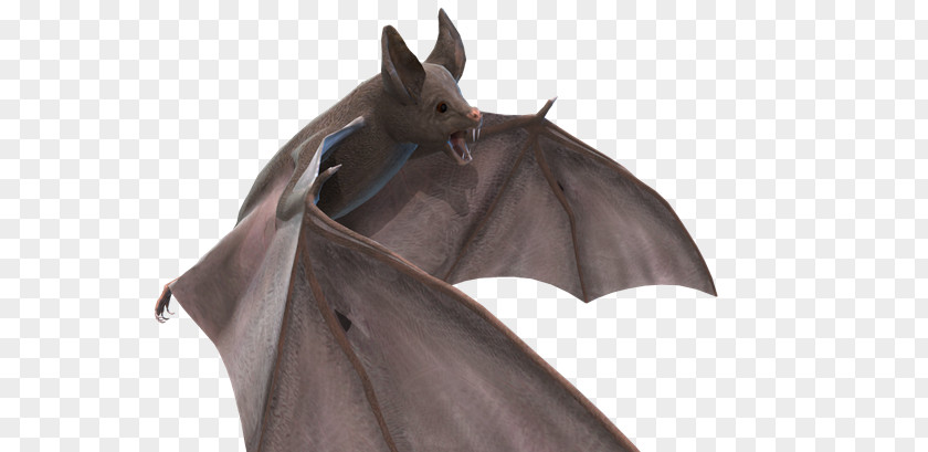 Bat Desktop Wallpaper Halloween PNG