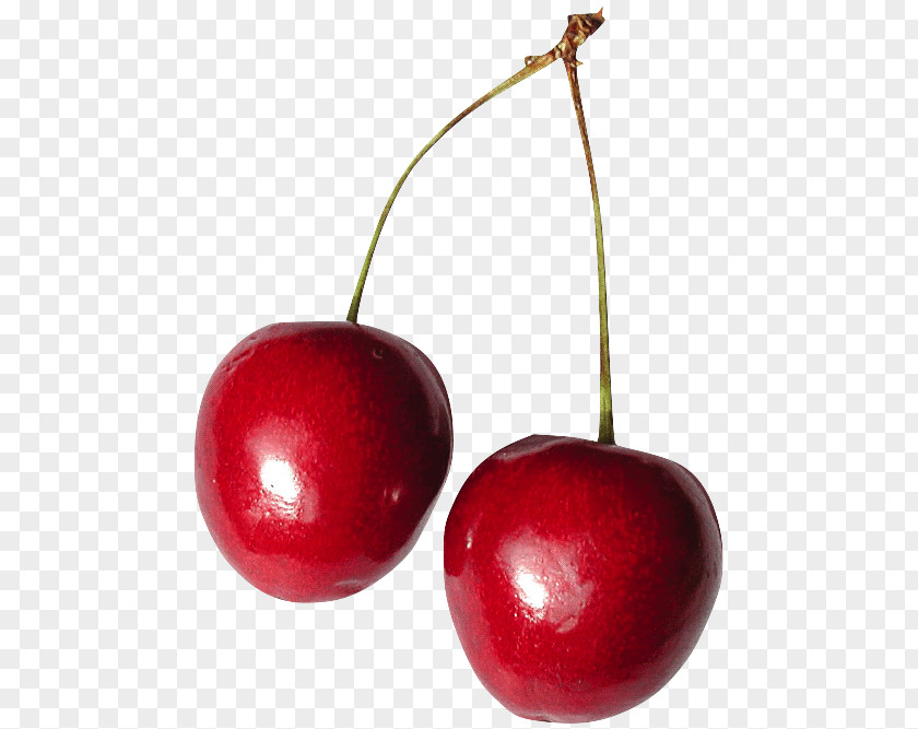 Cherry Barbados Clip Art Kompot PNG