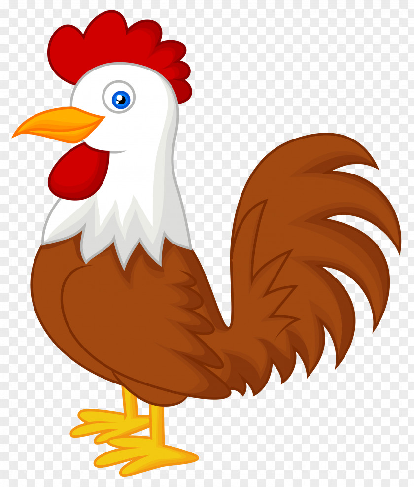 Cock Chicken Animal Bird Pet PNG