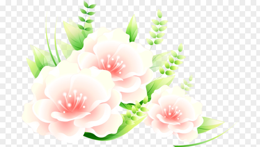 Flower Photography Clip Art PNG