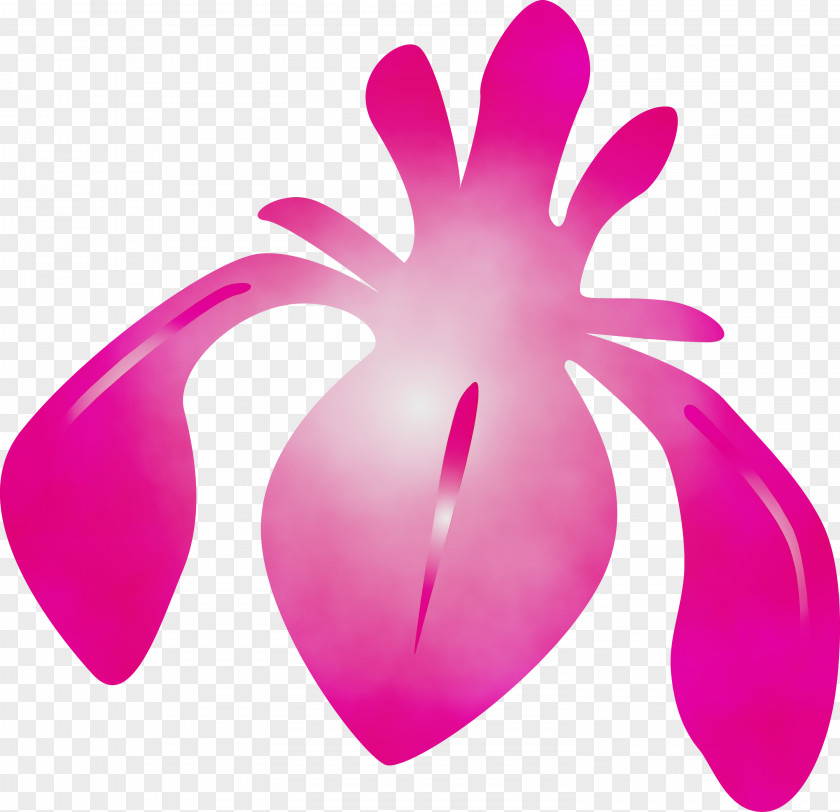 Pink Magenta Petal Violet Purple PNG