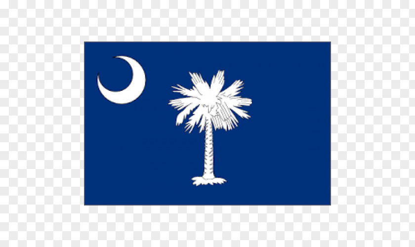 Flag Of South Carolina Inman The United States State PNG