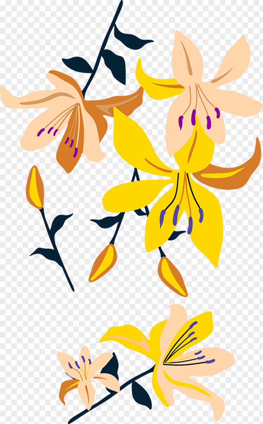 Floral Design PNG